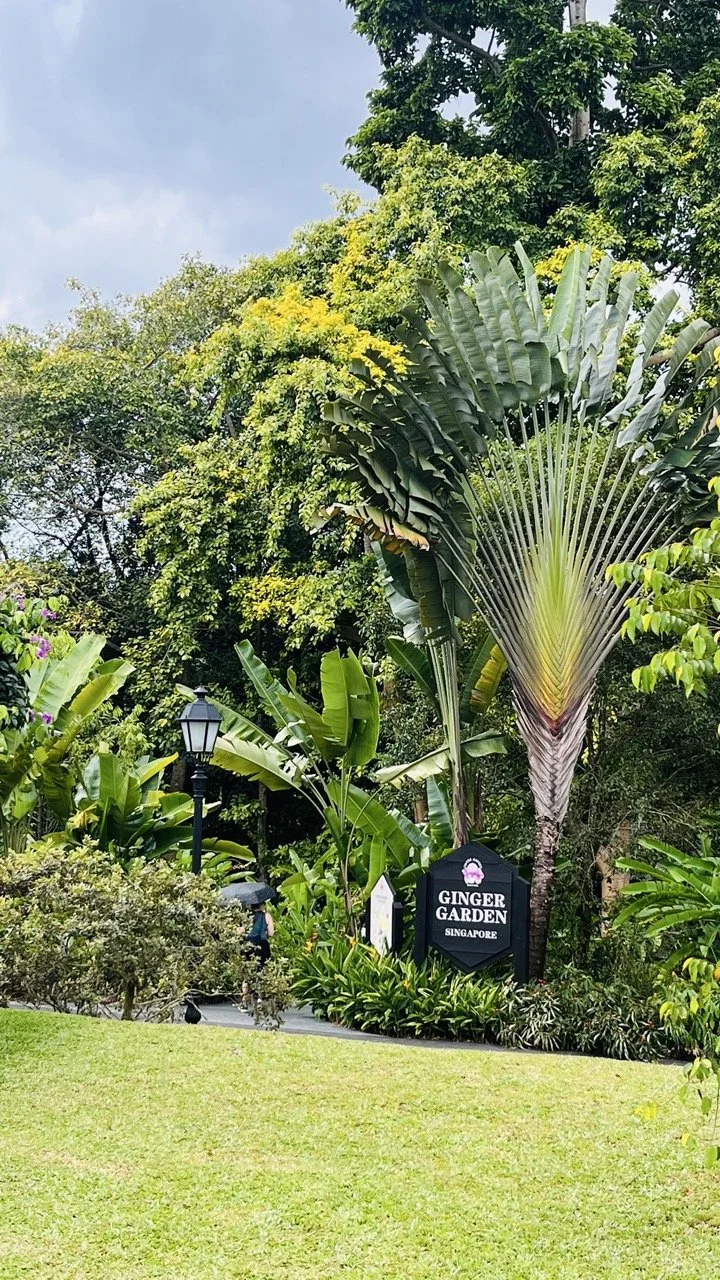 Groß (IMG_1722).jpeg