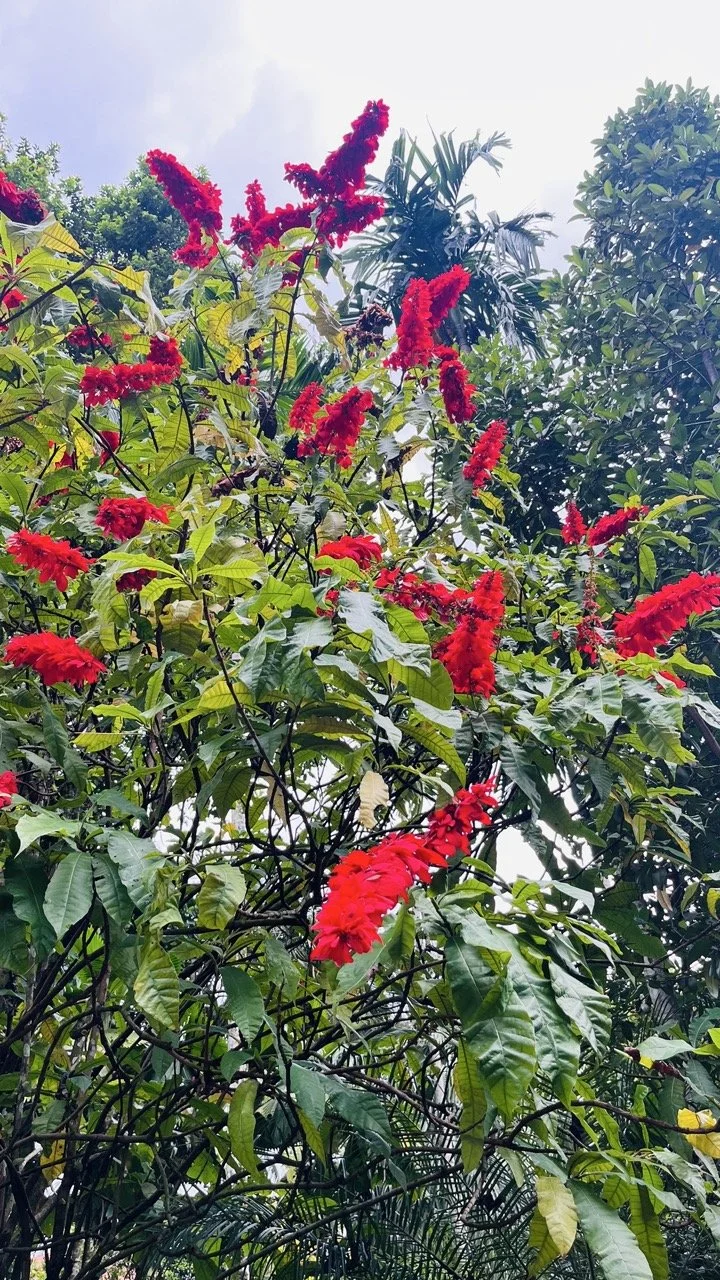 Groß (IMG_1738).jpeg