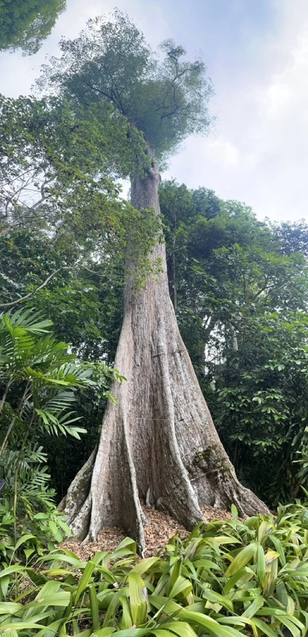 Groß (IMG_1727).jpeg