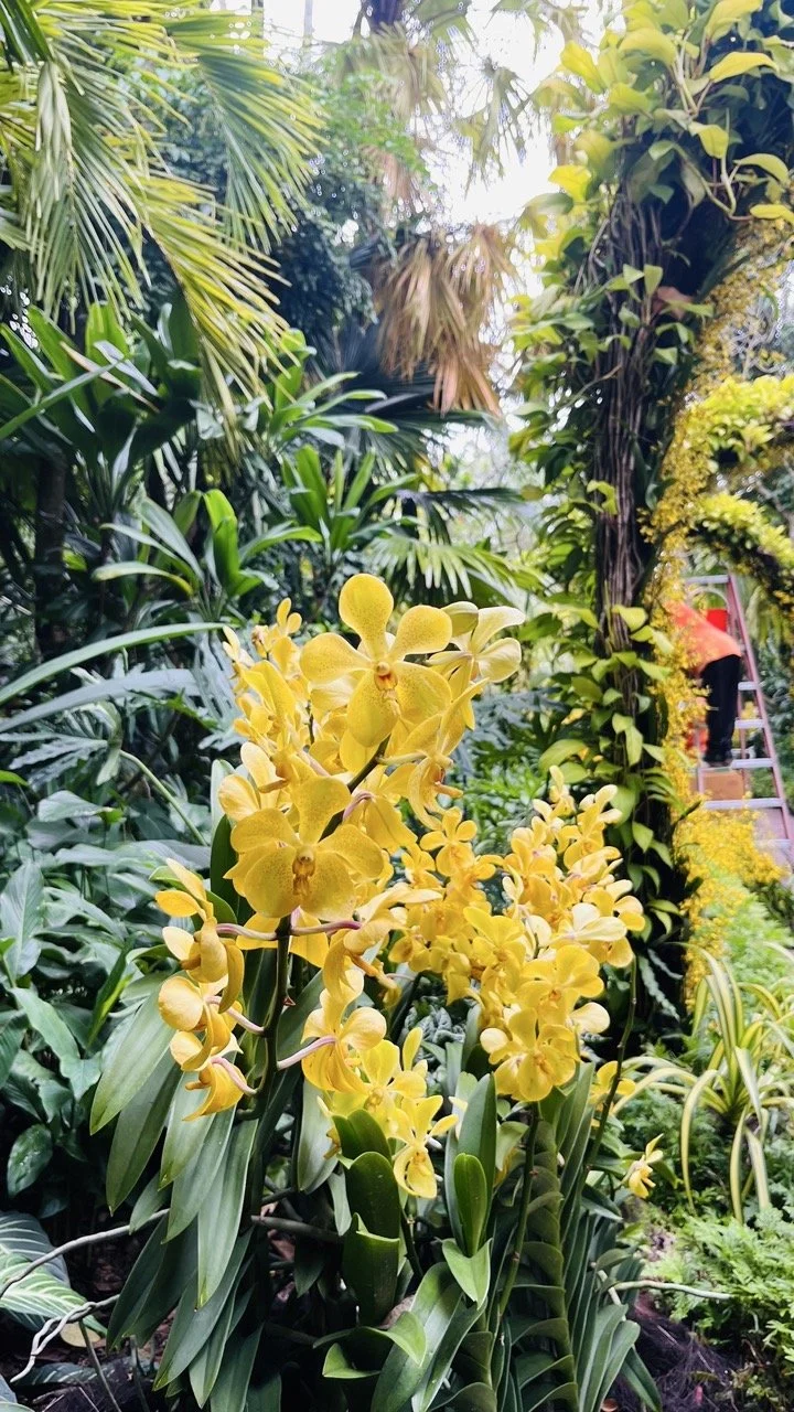 Groß (IMG_1736).jpeg