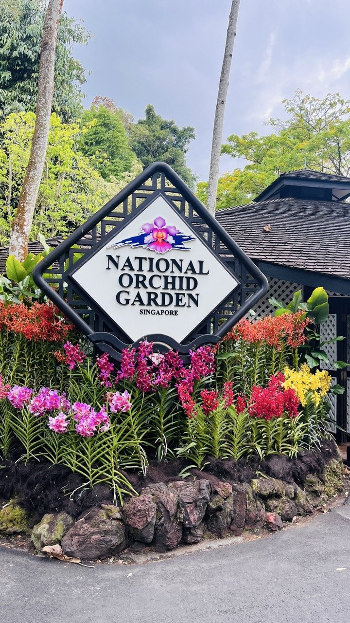 Groß (IMG_1729).jpeg