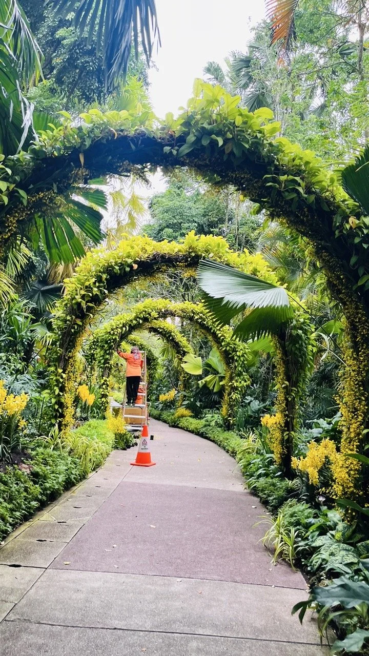 Groß (IMG_1735).jpeg