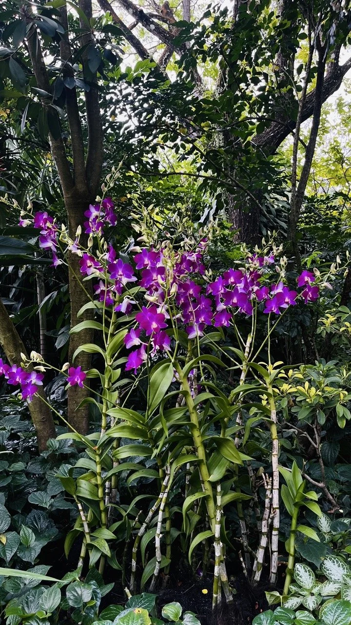 Groß (IMG_1731).jpeg