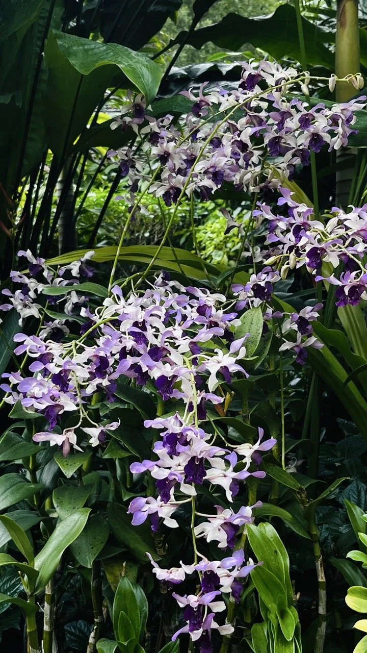 Groß (IMG_1732).jpeg