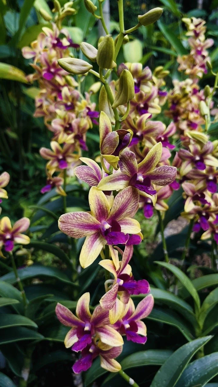 Groß (IMG_1734).jpeg