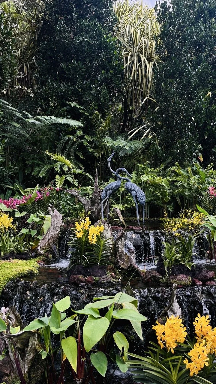 Groß (IMG_1730).jpeg