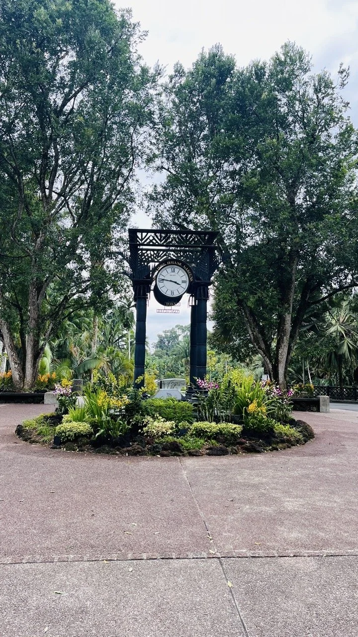 Groß (IMG_1728 2).jpeg