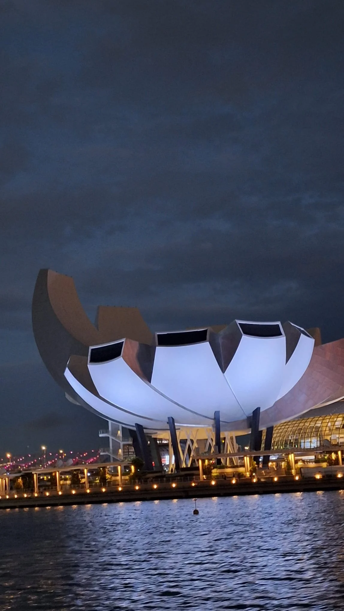 PHOTO-2026-03-02-05-11-44 3.jpg