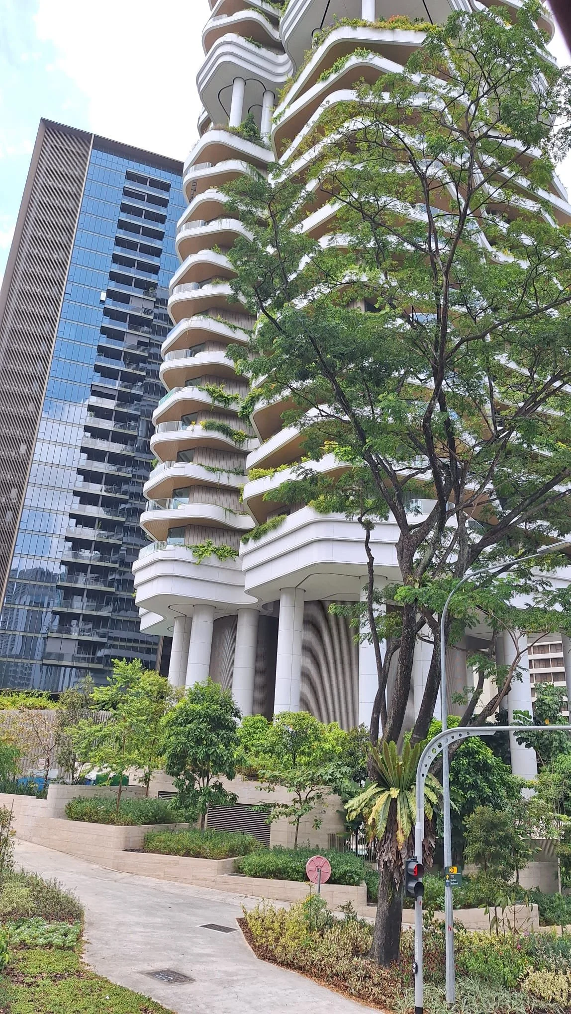 PHOTO-2026-03-02-05-11-49 2.jpg