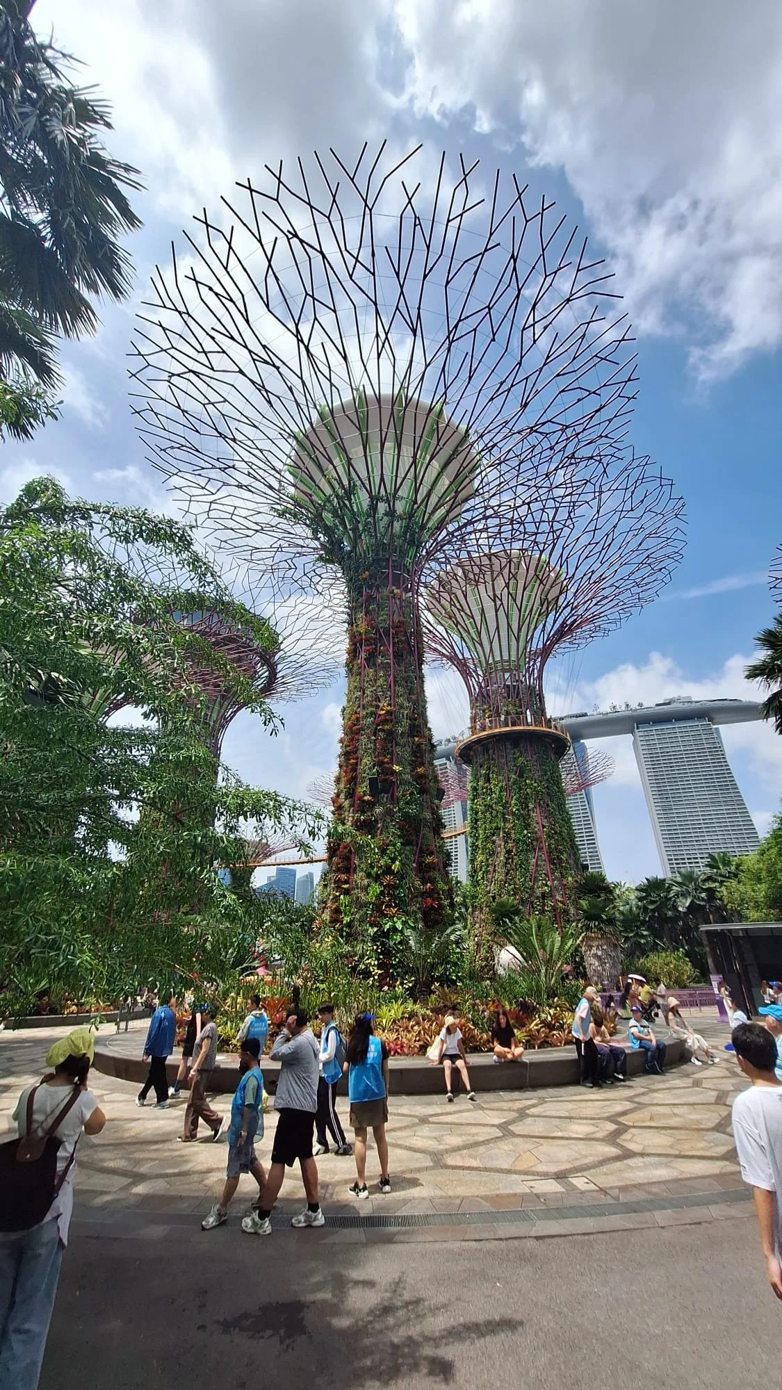 PHOTO-2026-03-02-05-11-52 5.jpg