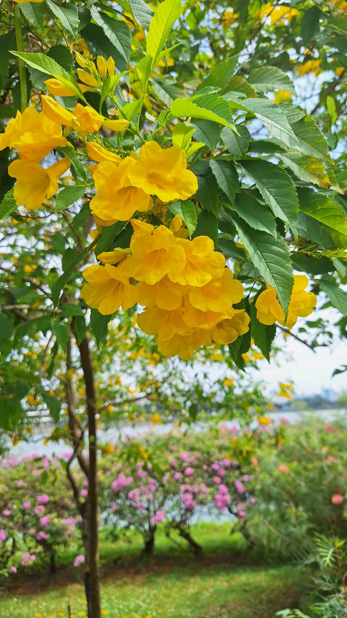 PHOTO-2026-03-02-05-11-52 6.jpg