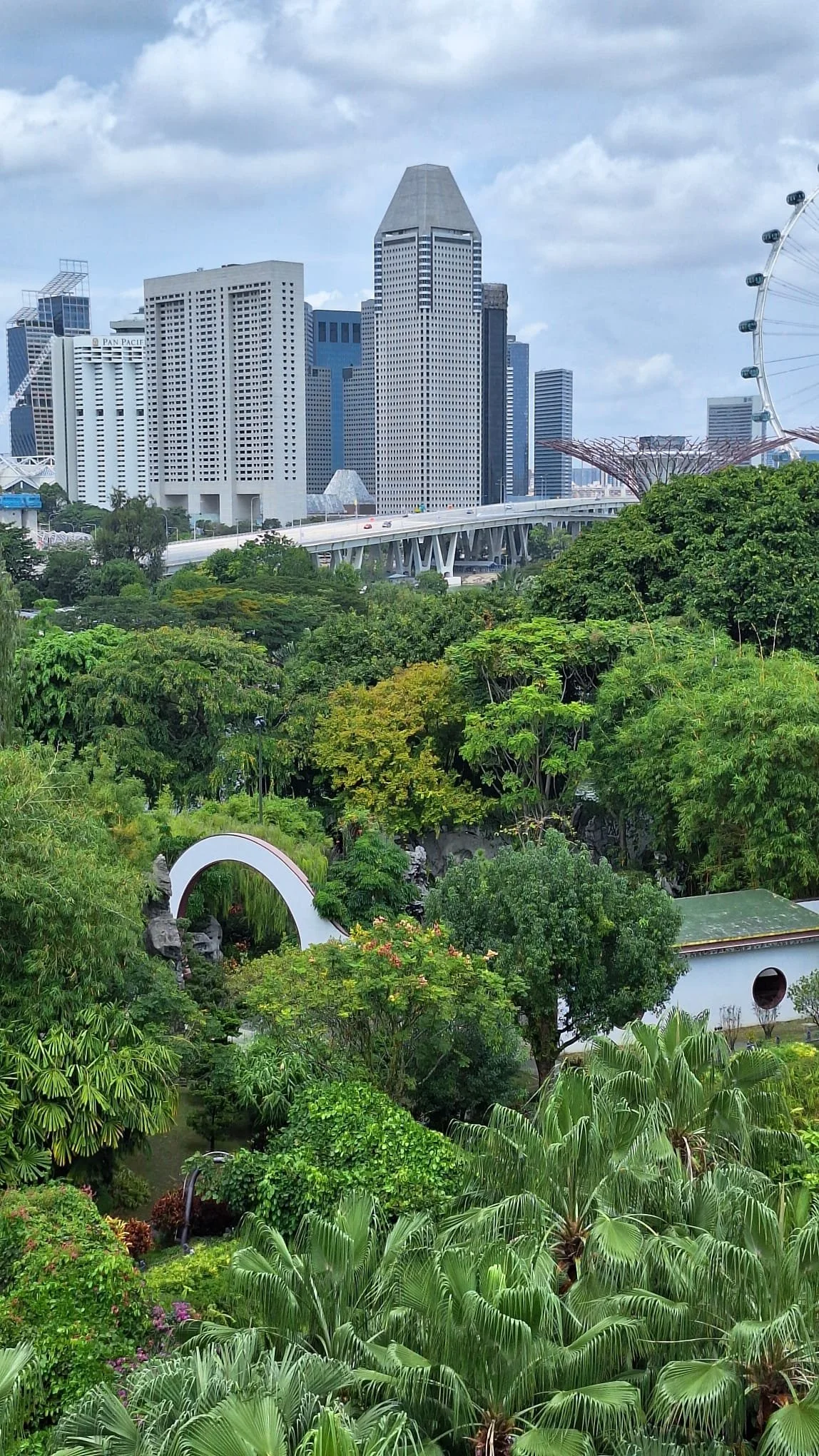 PHOTO-2026-03-02-05-11-55 5.jpg