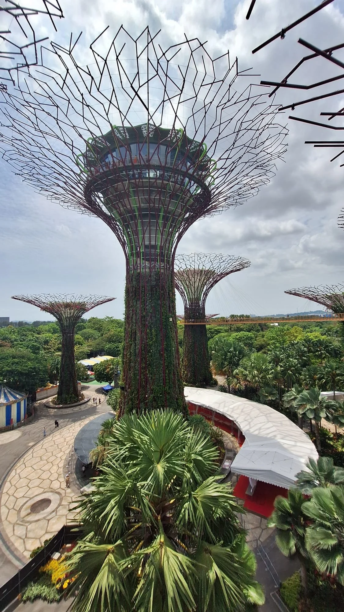 PHOTO-2026-03-02-05-11-55 6.jpg