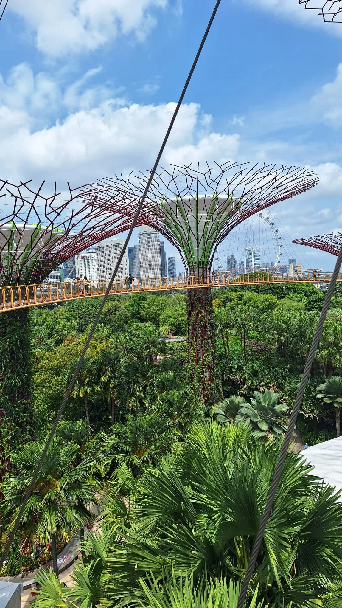 PHOTO-2026-03-02-05-11-56 4.jpg