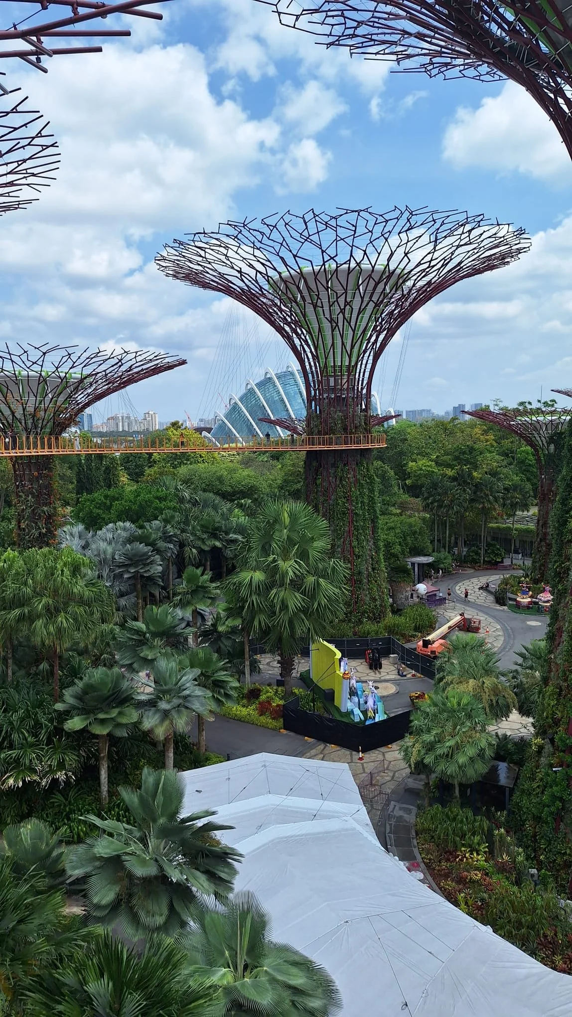 PHOTO-2026-03-02-05-11-56 5.jpg