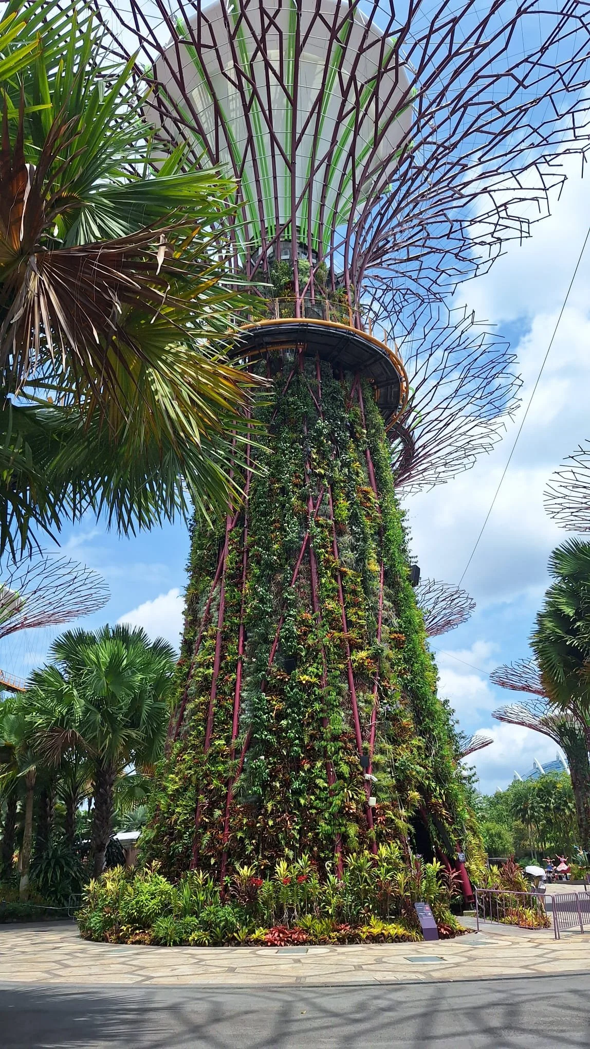 PHOTO-2026-03-02-05-11-57 6.jpg