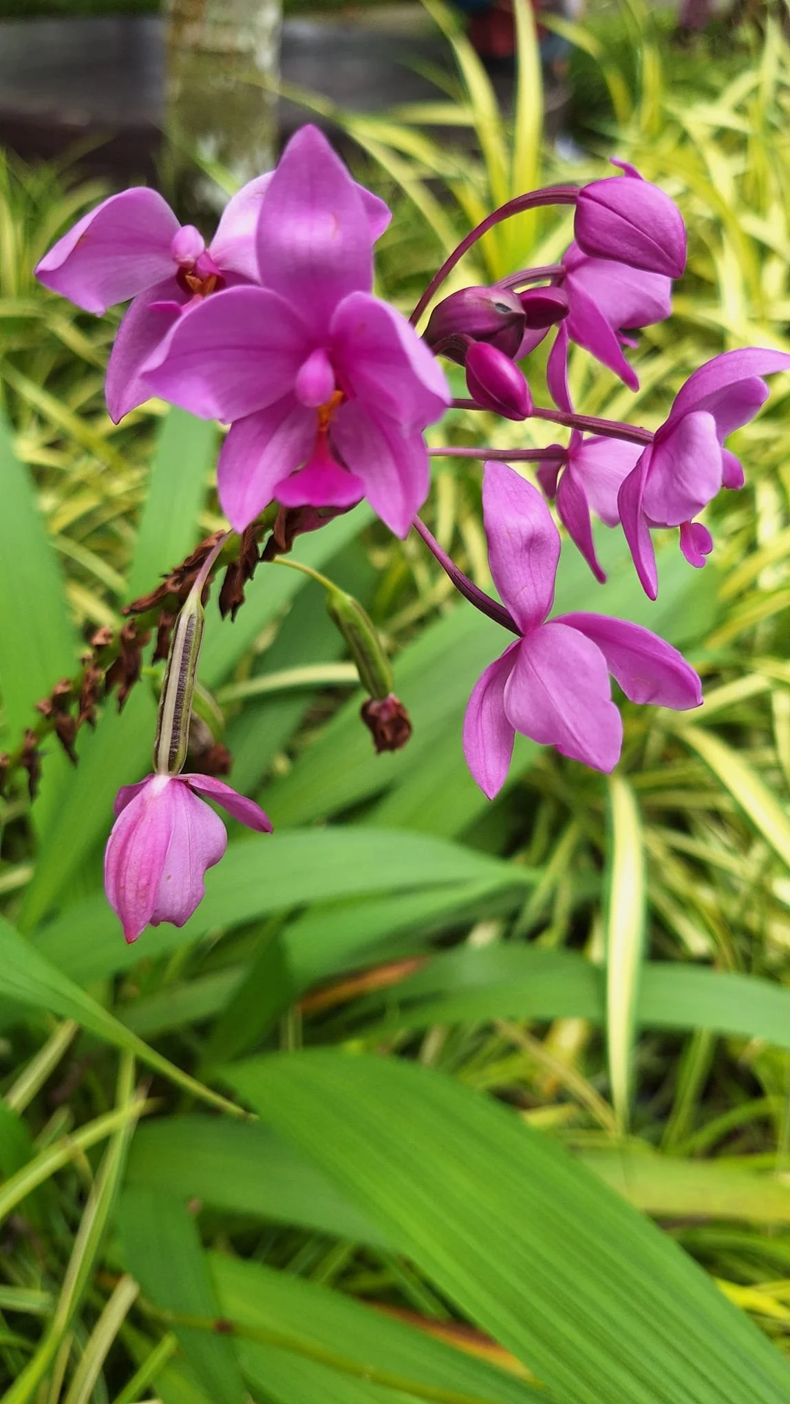 PHOTO-2026-03-02-05-11-57 7.jpg