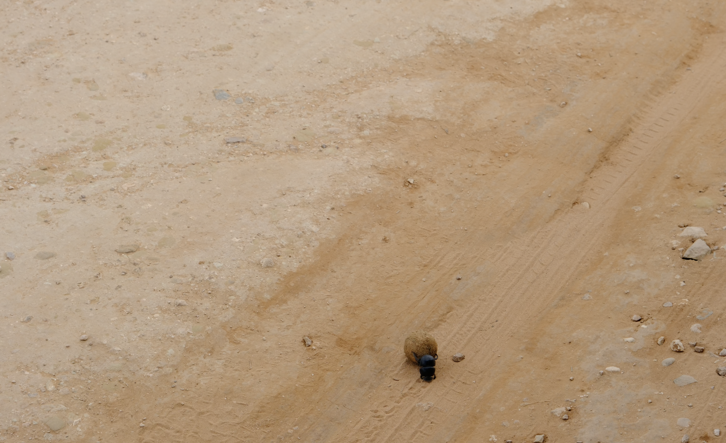 Bildschirmfoto 2026-03-18 um 12.14.01.png