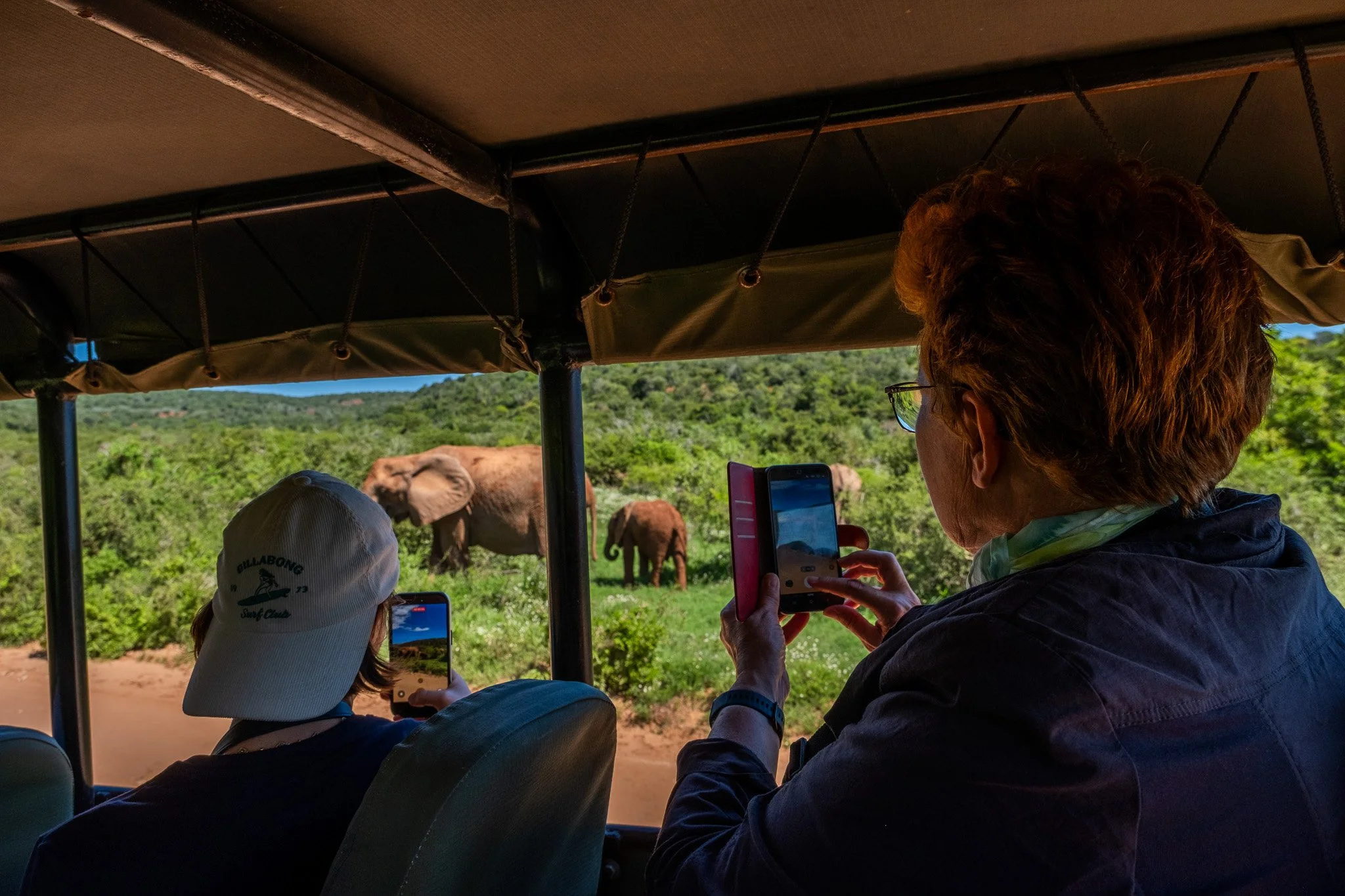 Port Elizabeth: Elefanten und grandiose Natur