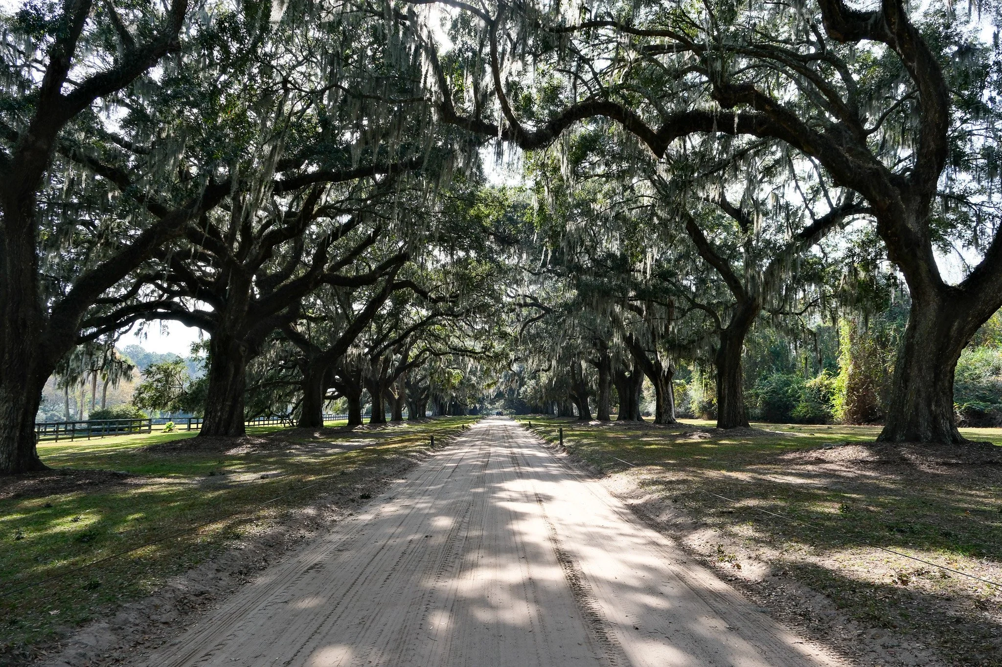 Boone Hall Plantage, Charleston