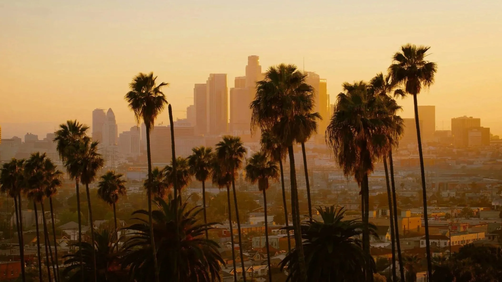 Stadtbild bei Sonnenuntergang mit hohen Palmen im Vordergrund und moderner Hochhaus-Skyline im Hintergrund.