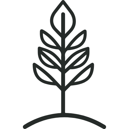 Line drawing of a tree with multiple leaves on a curved ground