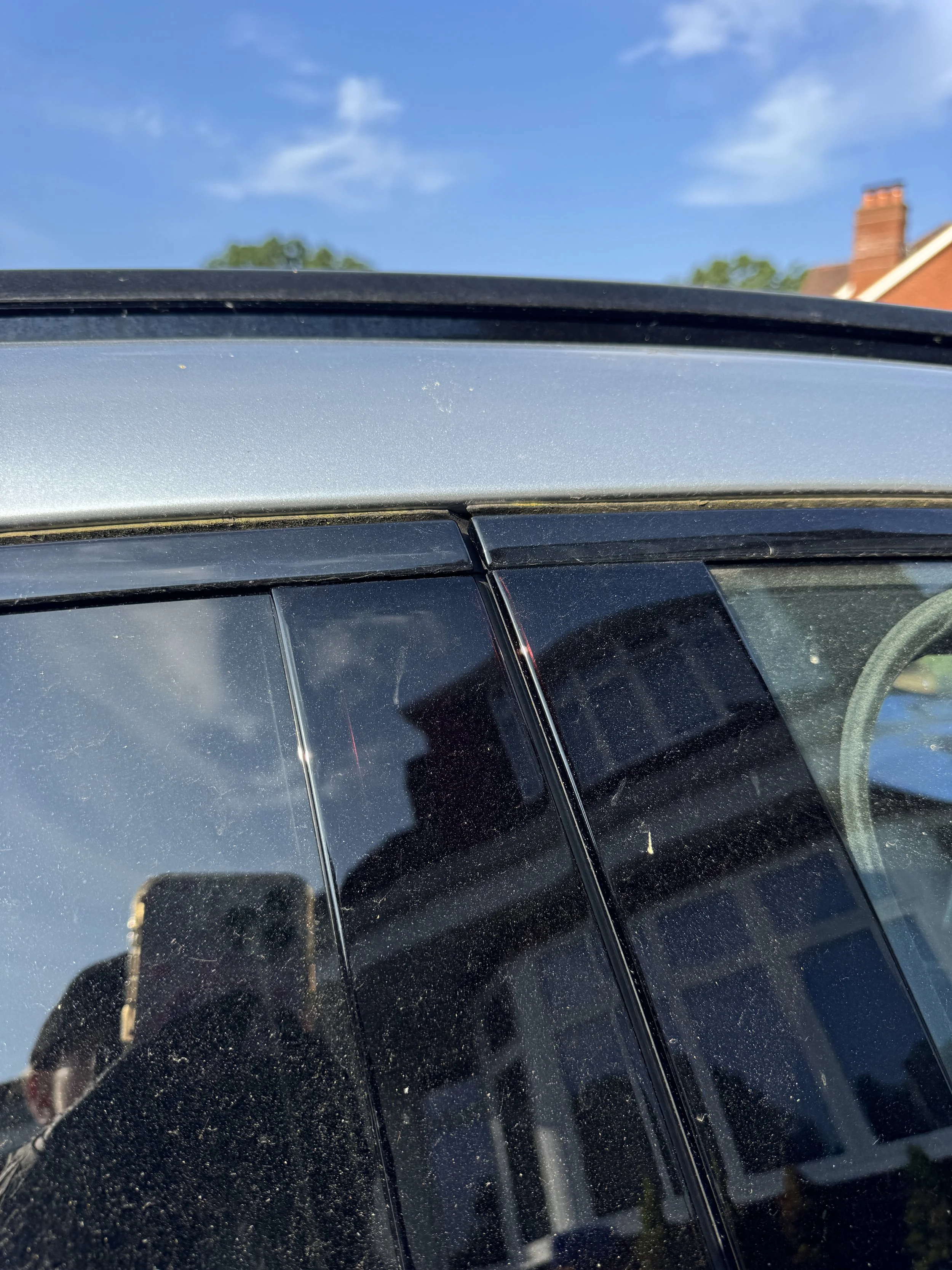 Moss removal in door seals in Surrey by Laura's Car Detailing