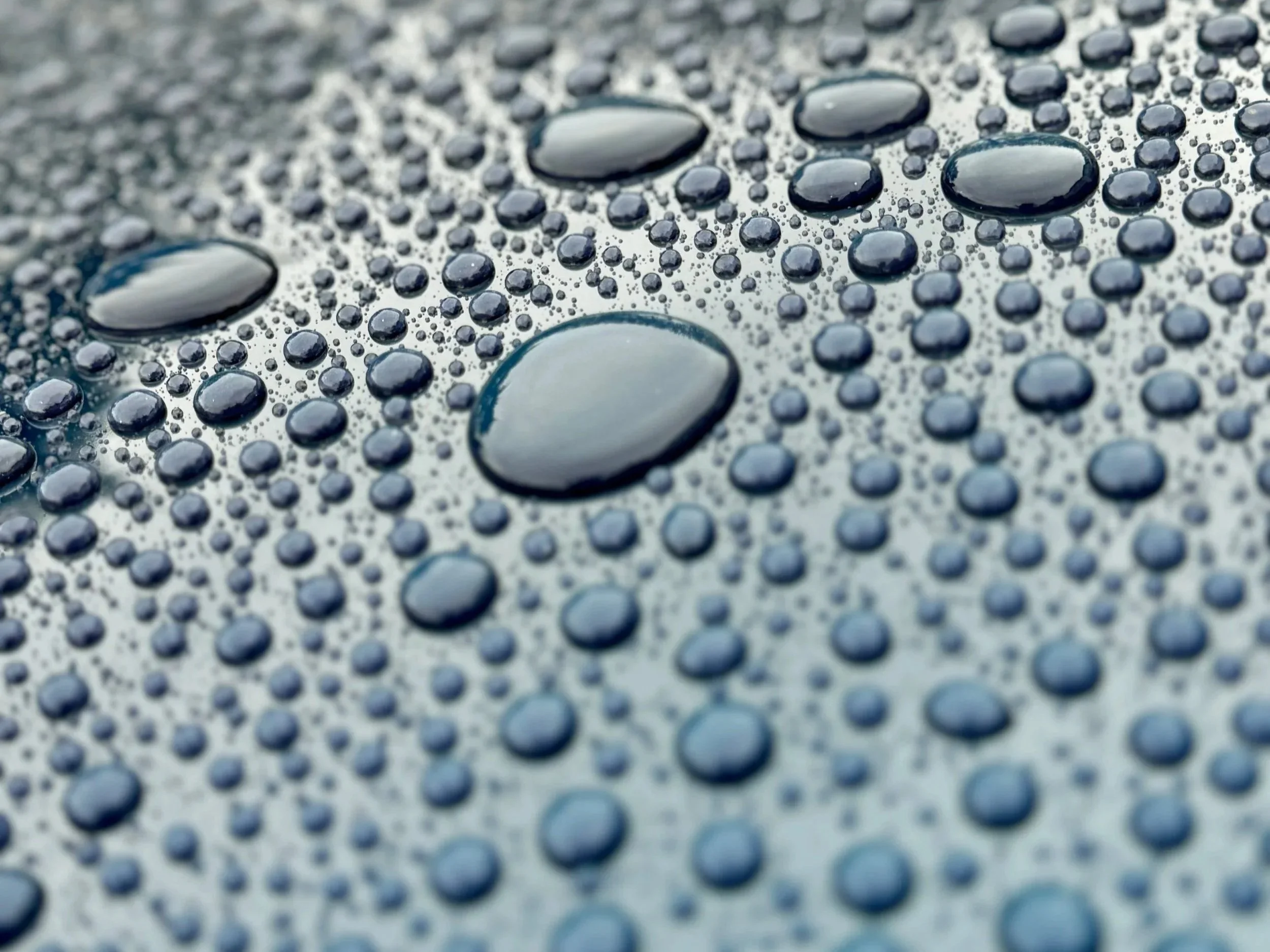 Ceramic coatings by Laura's Car Detailing