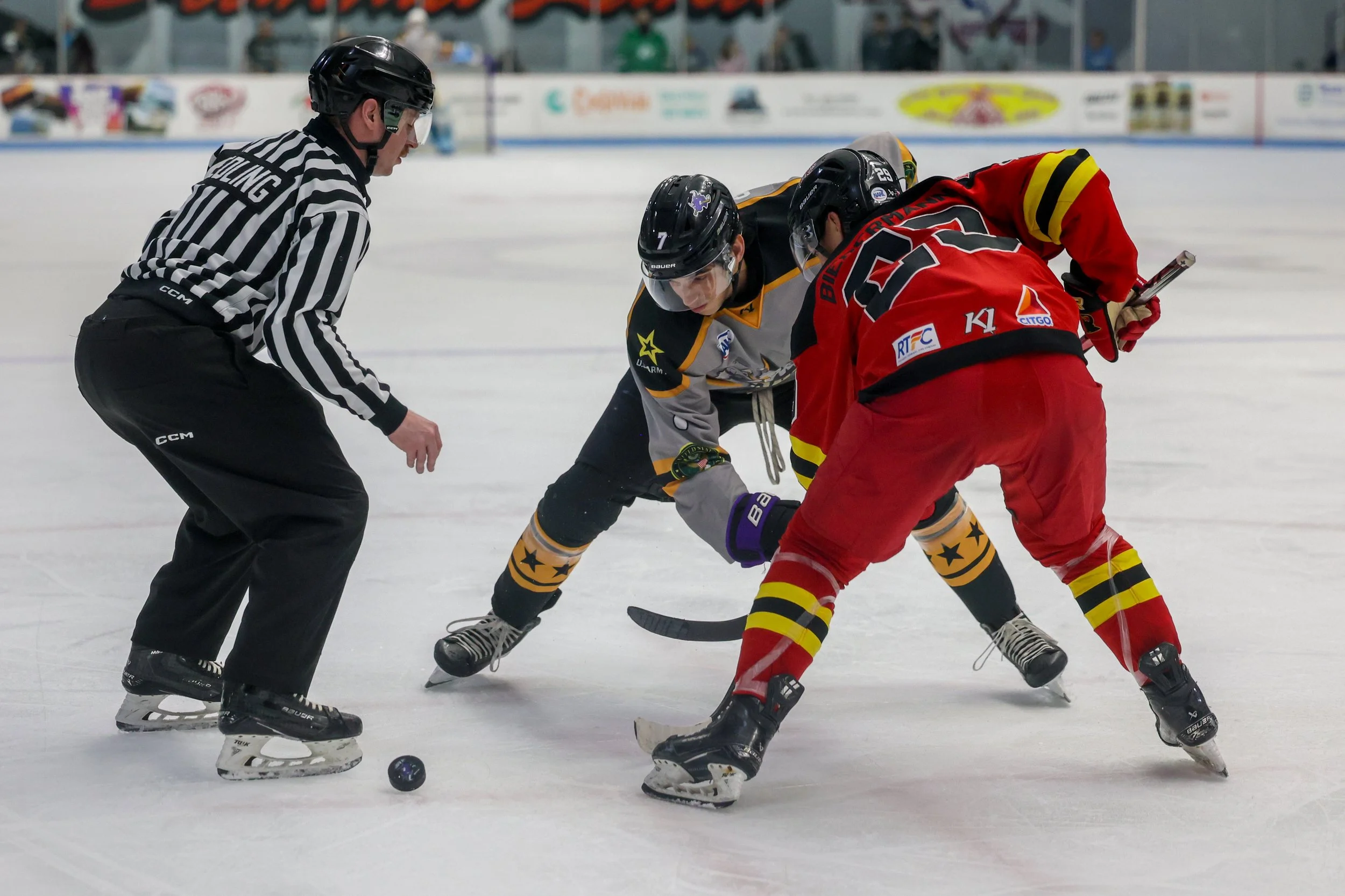 20251115 NAHL-ICERAYS@BRAHMAS-TH-{seqn}-15.jpg