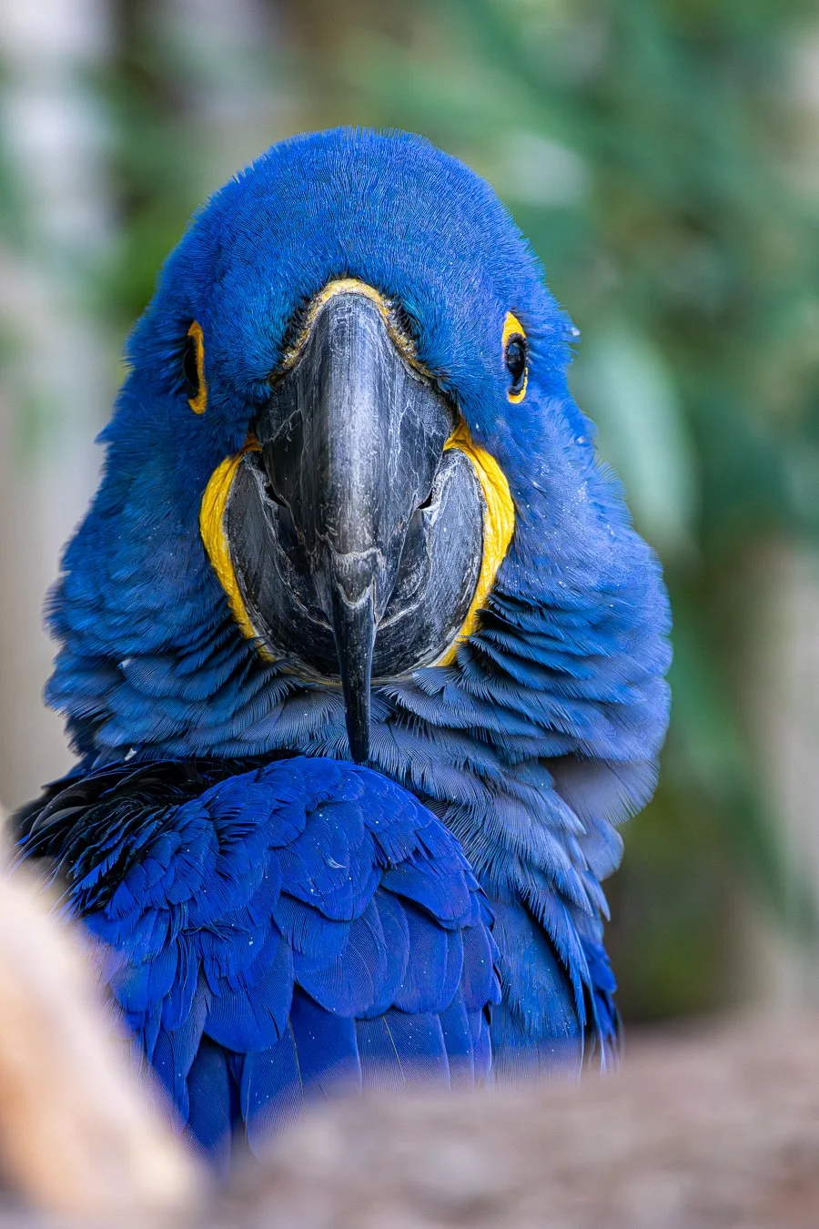 497A0423-Enhanced-NR-1-2 - Copy.jpg