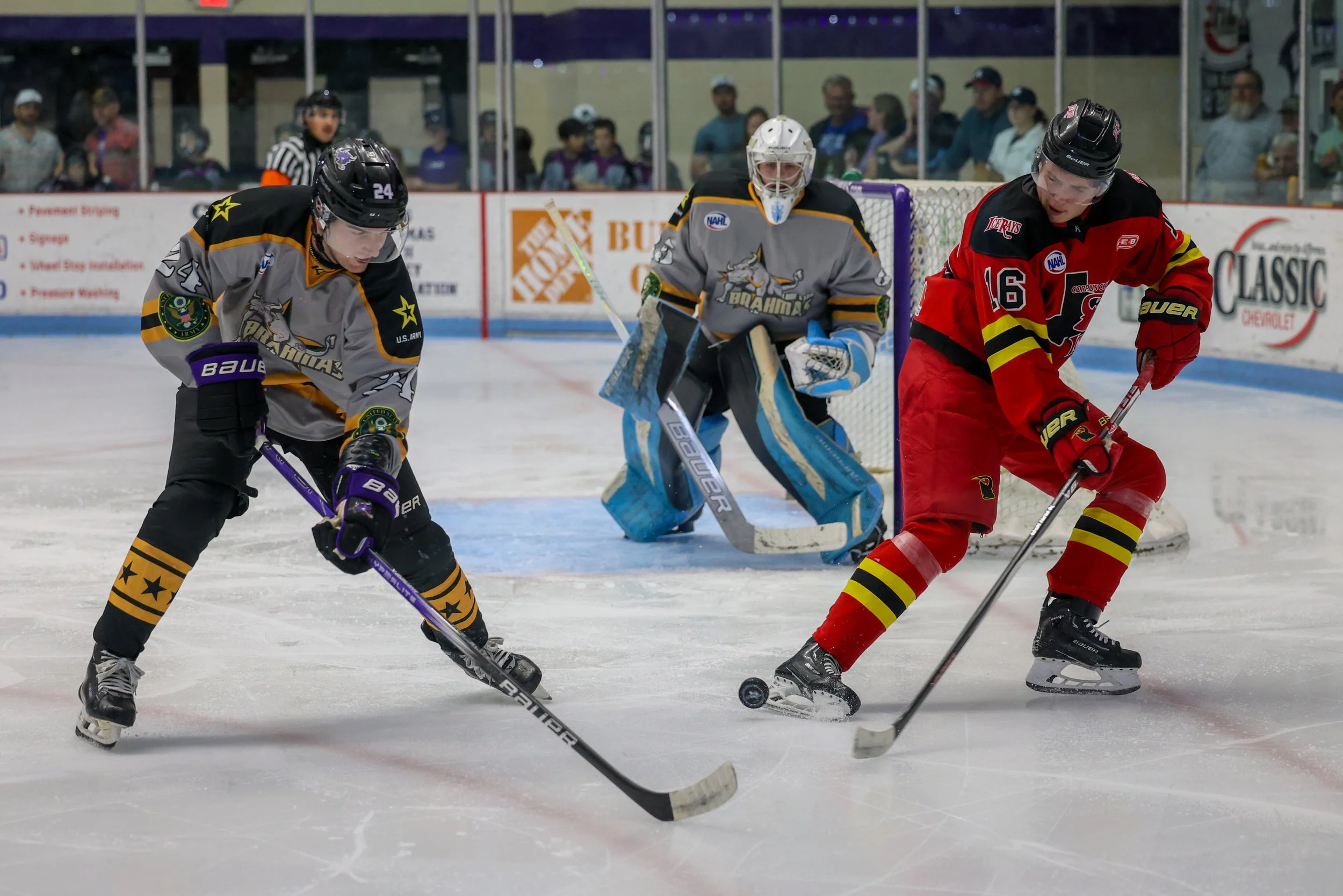 20251115 NAHL-ICERAYS@BRAHMAS-TH-{seqn}-32.jpg