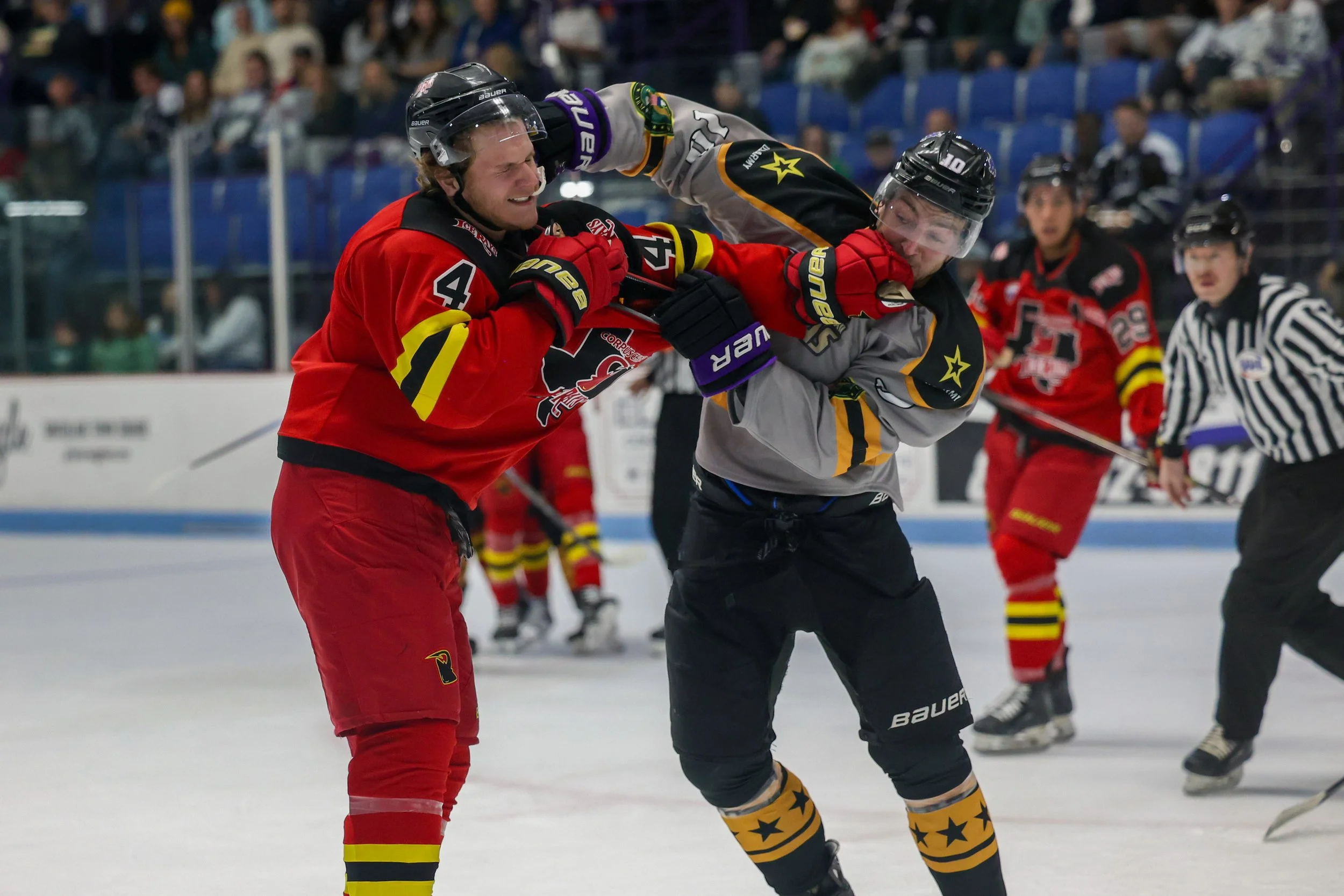 20251115 NAHL-ICERAYS@BRAHMAS-TH-{seqn}-19.jpg