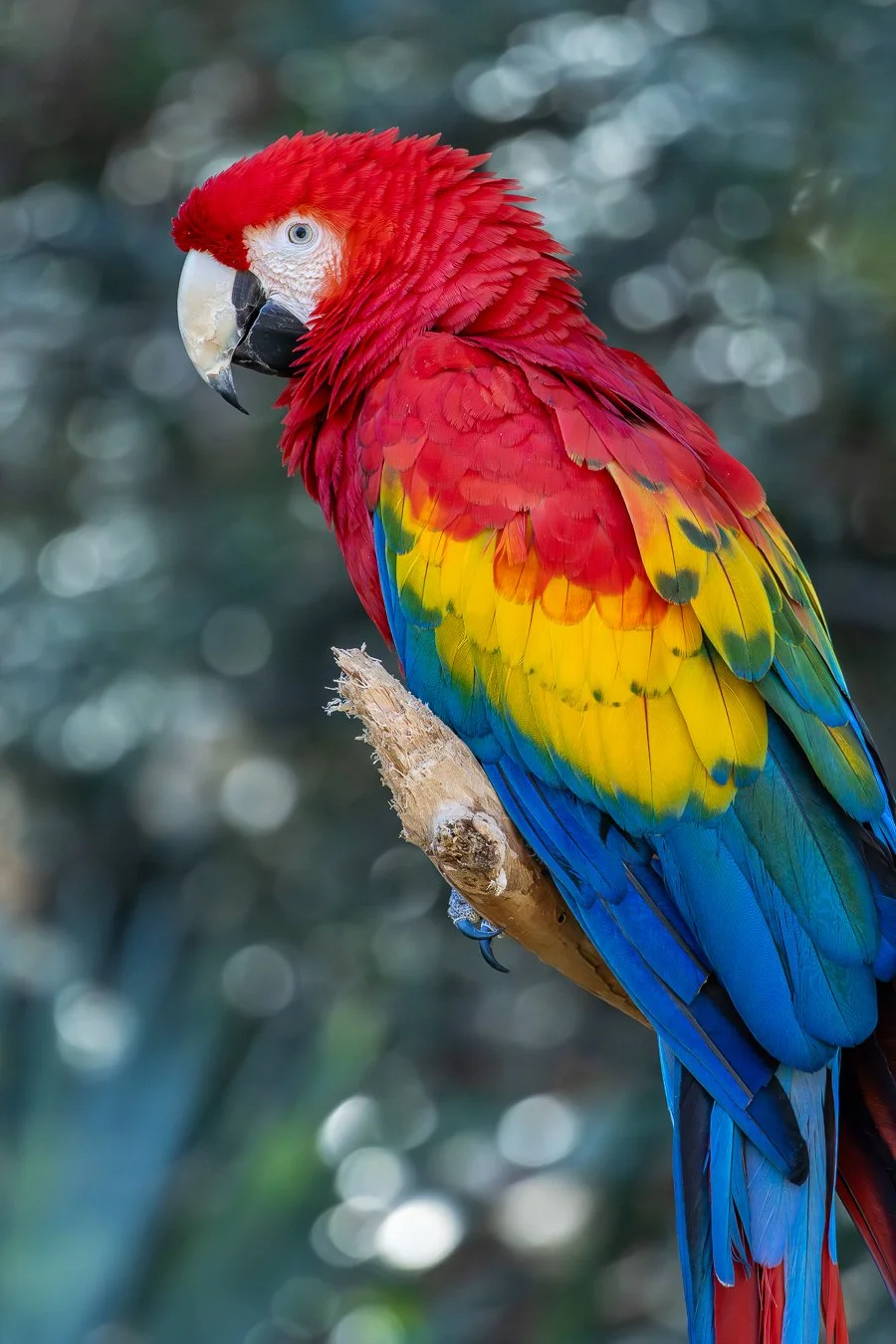 497A0387-Enhanced-NR-1-2 - Copy.jpg