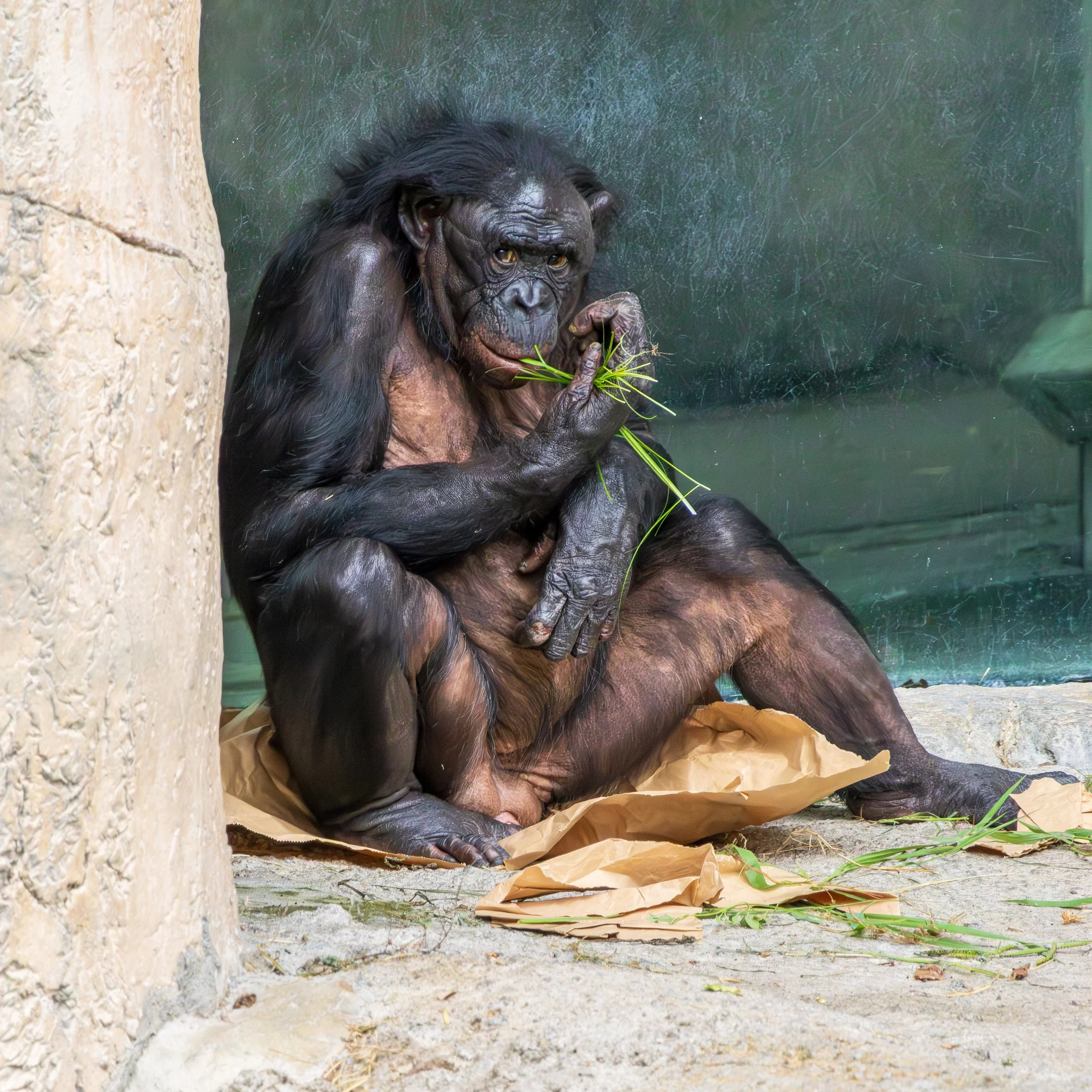 497A6022-Enhanced-NR-1 - Copy.jpg