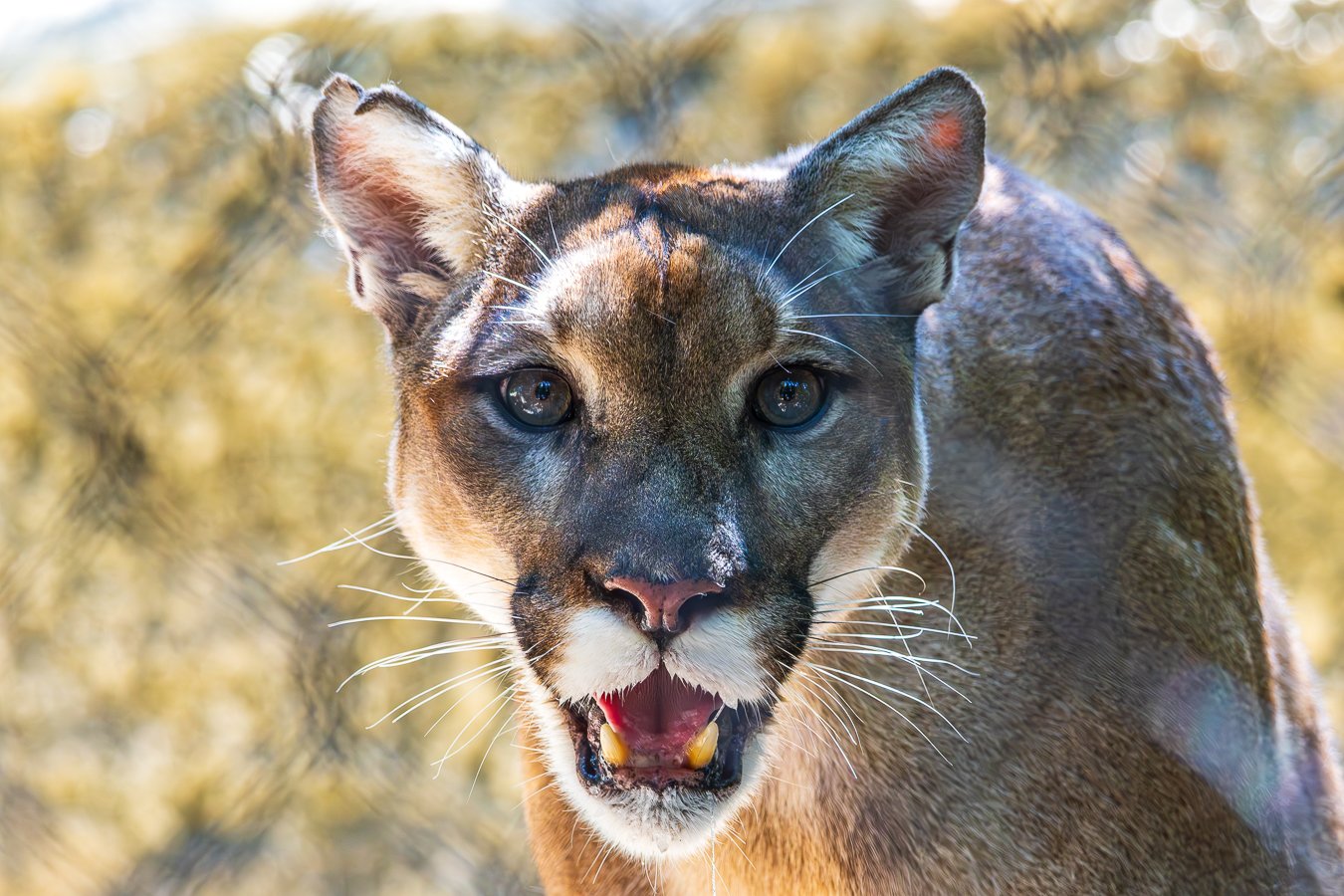 497A6372-Enhanced-NR-1-2 - Copy.jpg