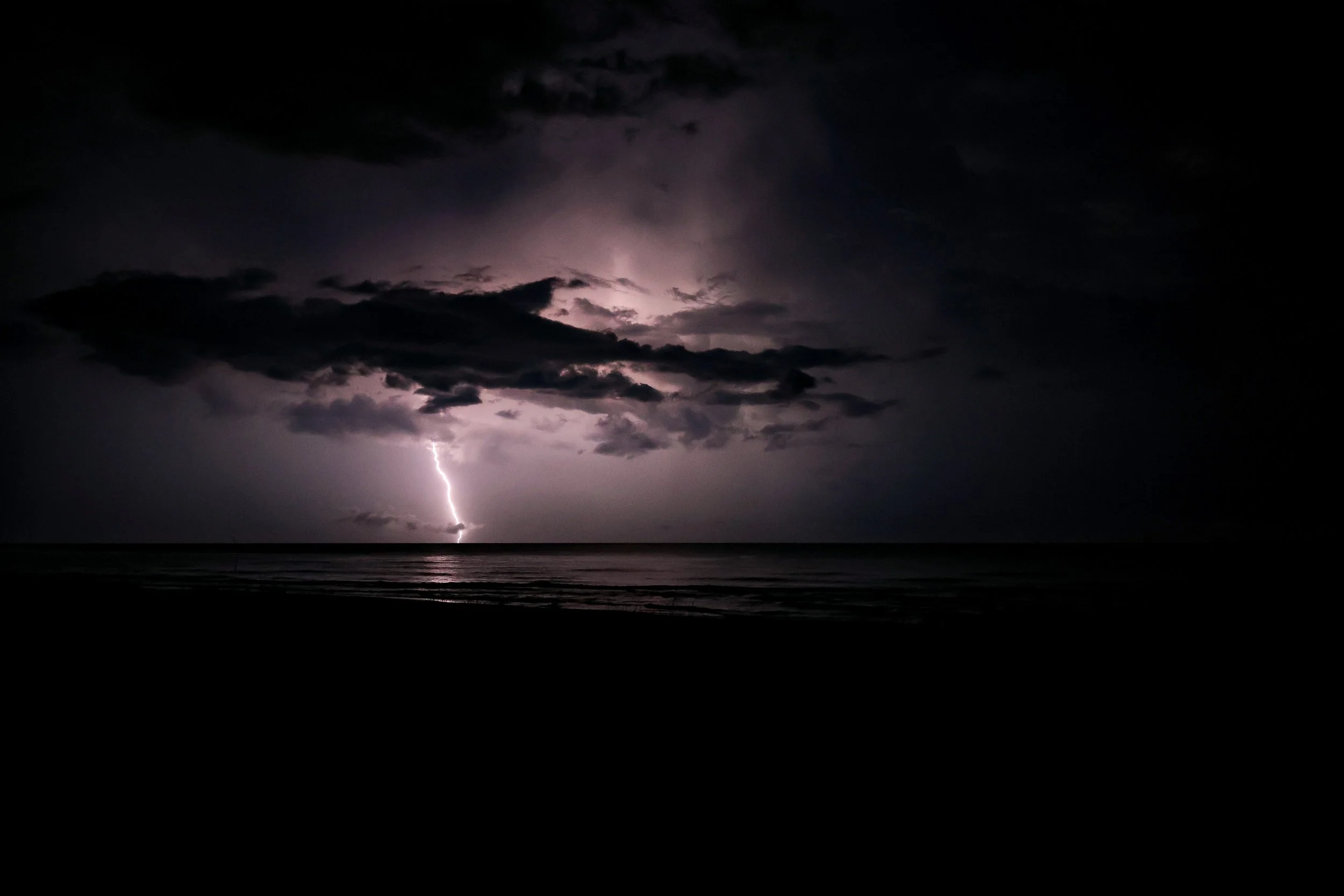 Art, Nature, and Landscapes