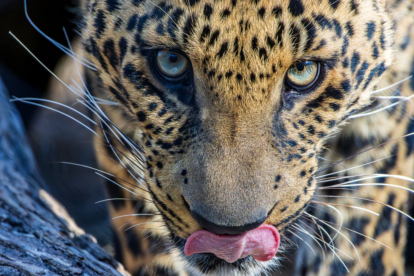 497A0291-Enhanced-NR-1-2 - Copy.jpg