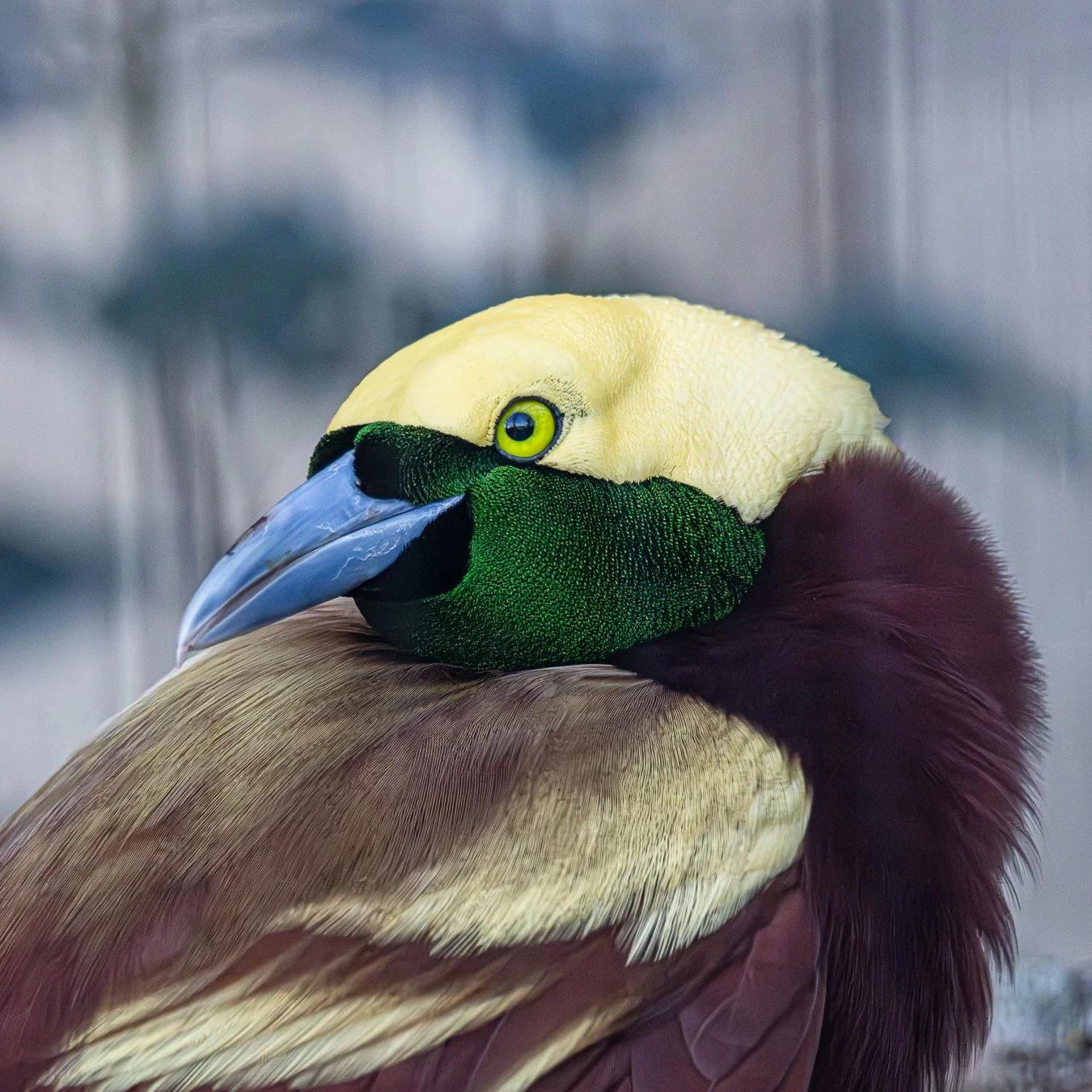 497A0190-Enhanced-NR-1-2 - Copy.jpg