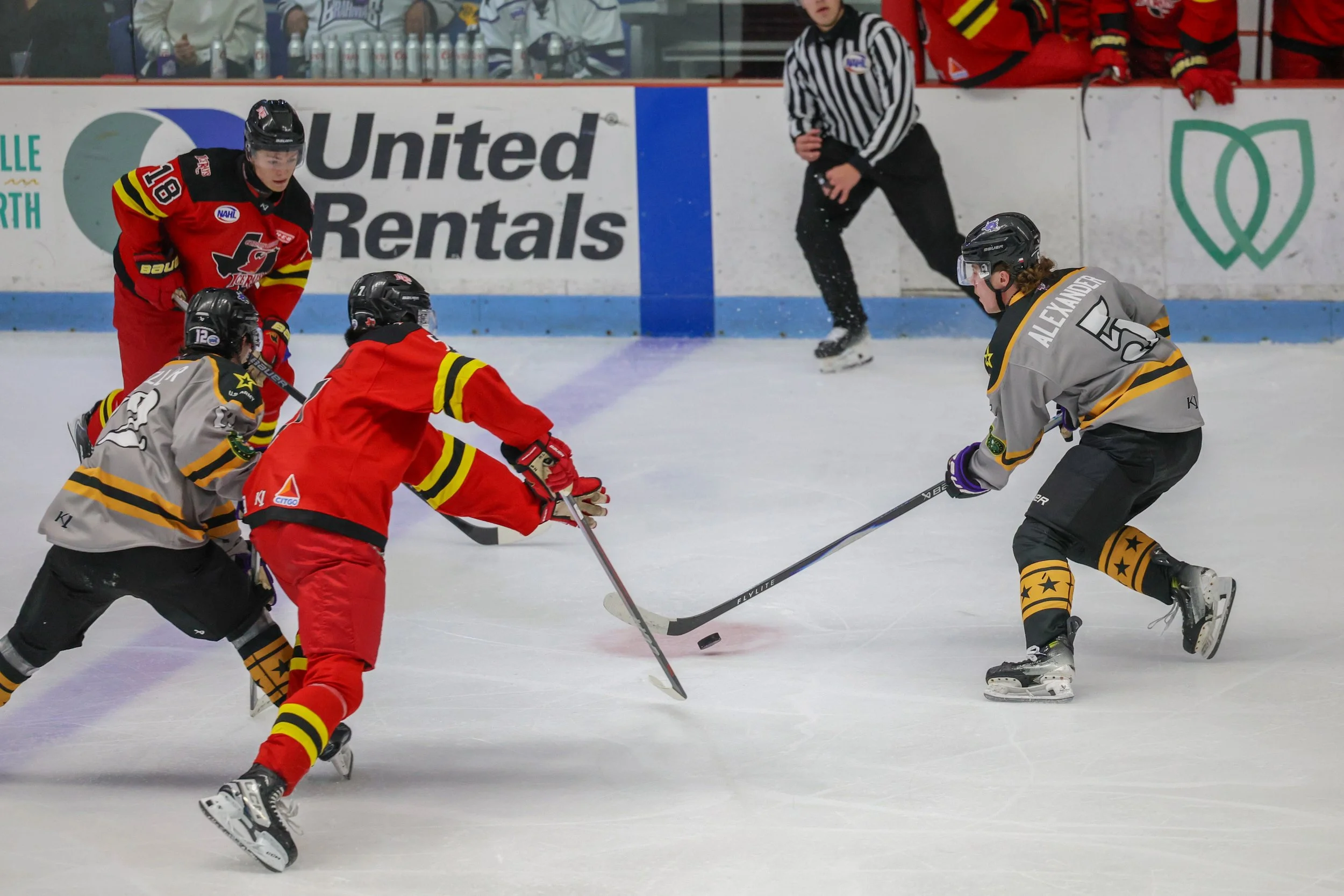 20251115 NAHL-ICERAYS@BRAHMAS-TH-{seqn}-37.jpg