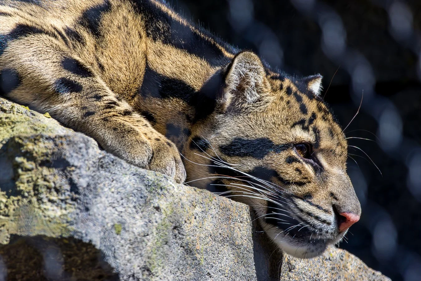 497A0162-Enhanced-NR-1-2 - Copy.jpg