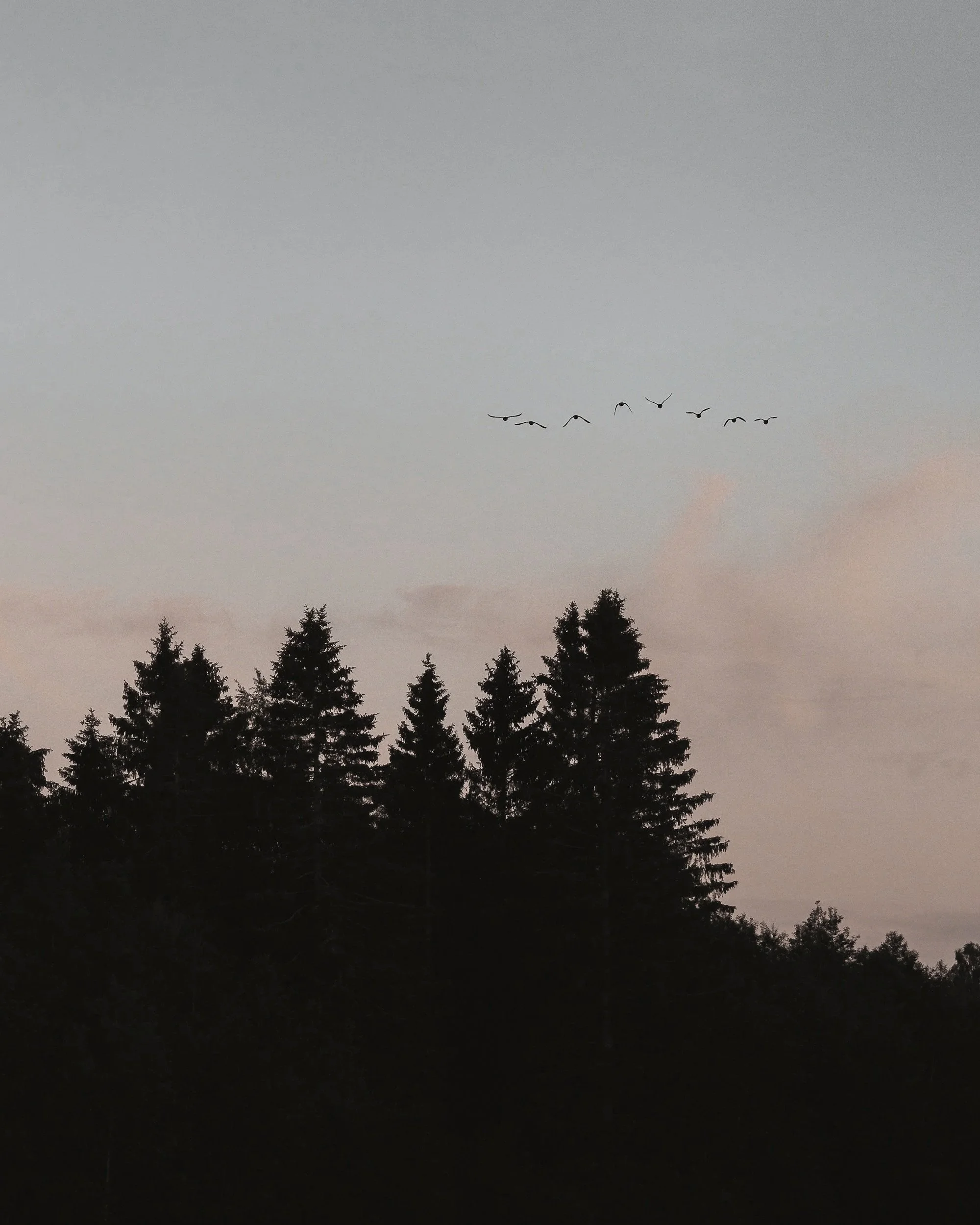 unsplash-image-BcmbB08Fexg.jpg