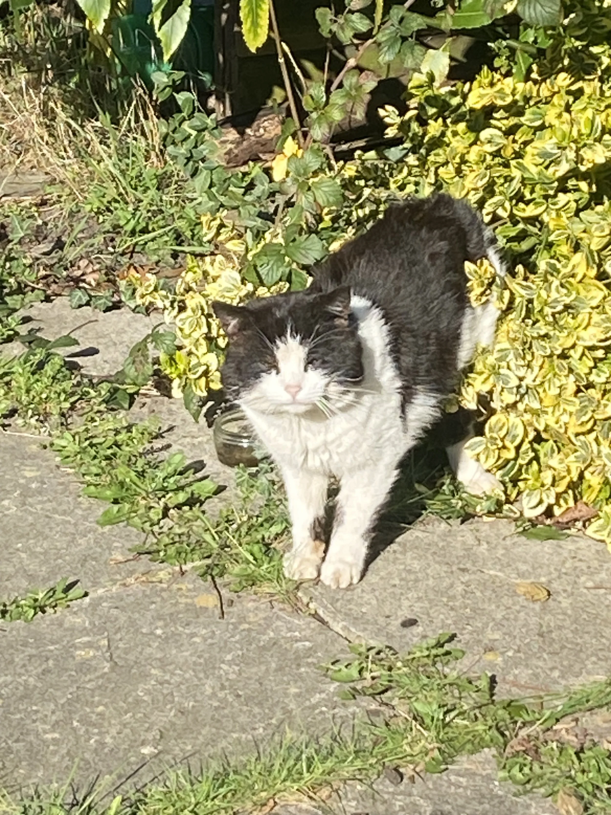 IMG_5812.jpeg