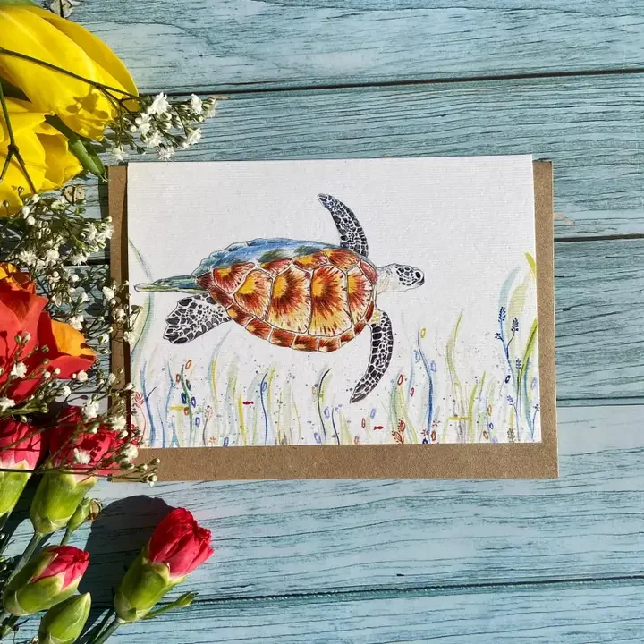 card turtle.webp