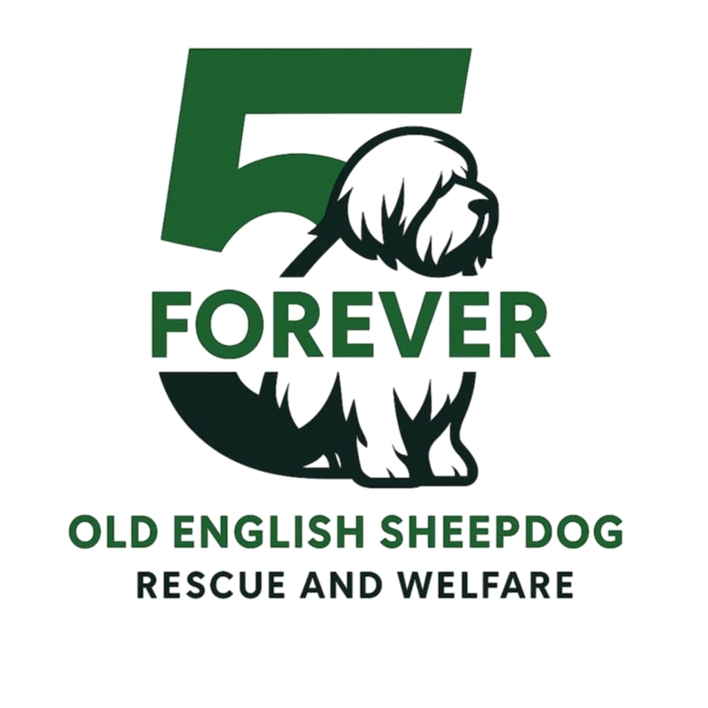 Logo for 5 Forever Old English Sheepdog Rescue and Welfare featuring a black and white illustration of an Old English Sheepdog with large lettering '5 Forever' above and 'Old English Sheepdog Rescue and Welfare' below.