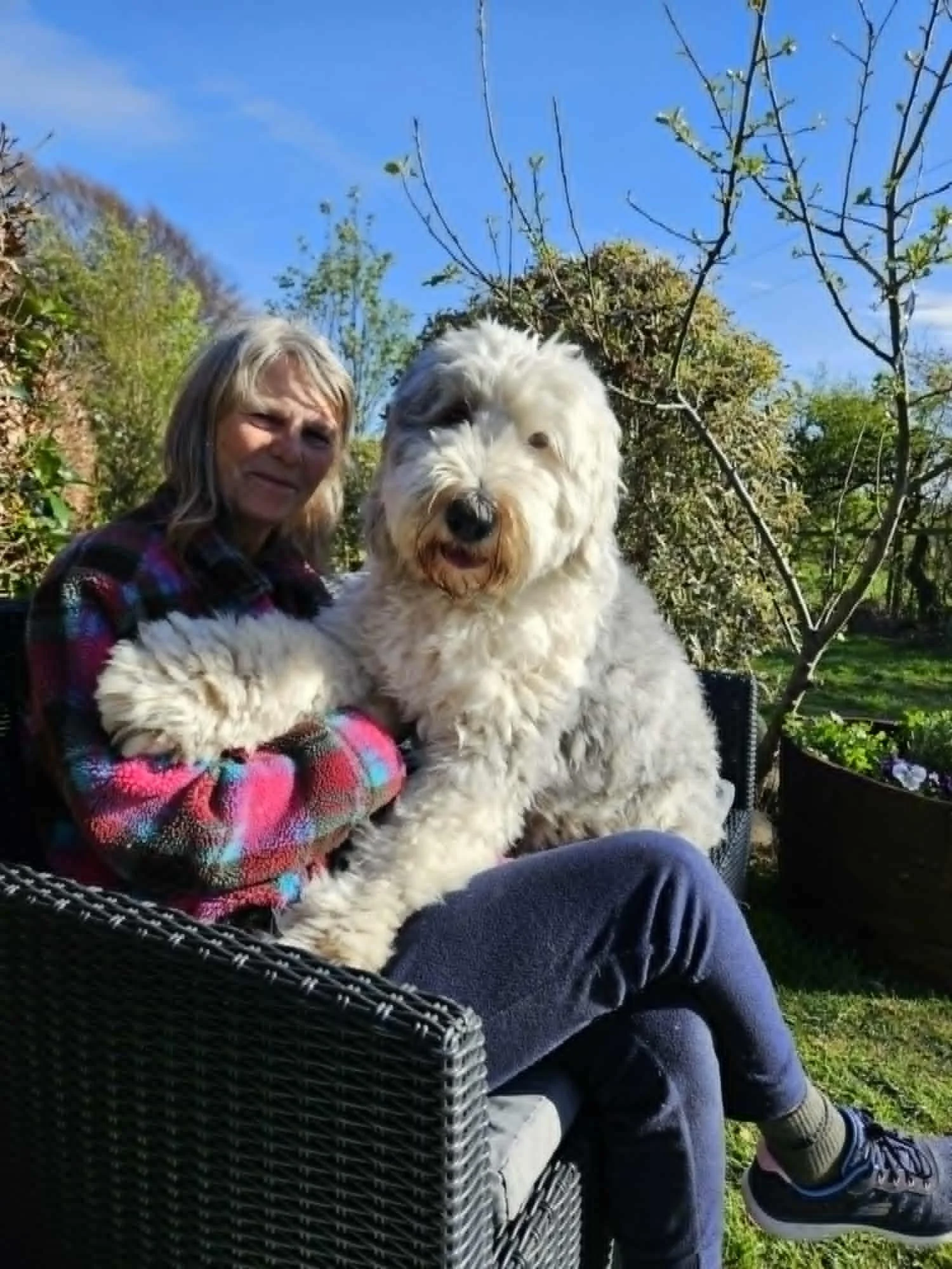 A woman sitting on an outdoor woven chair with a large fluffy dog on her lap. The woman is wearing a colorful flannel shirt, dark pants, and sneakers. The scene is outdoors with trees, bushes, and a blue sky in the background.