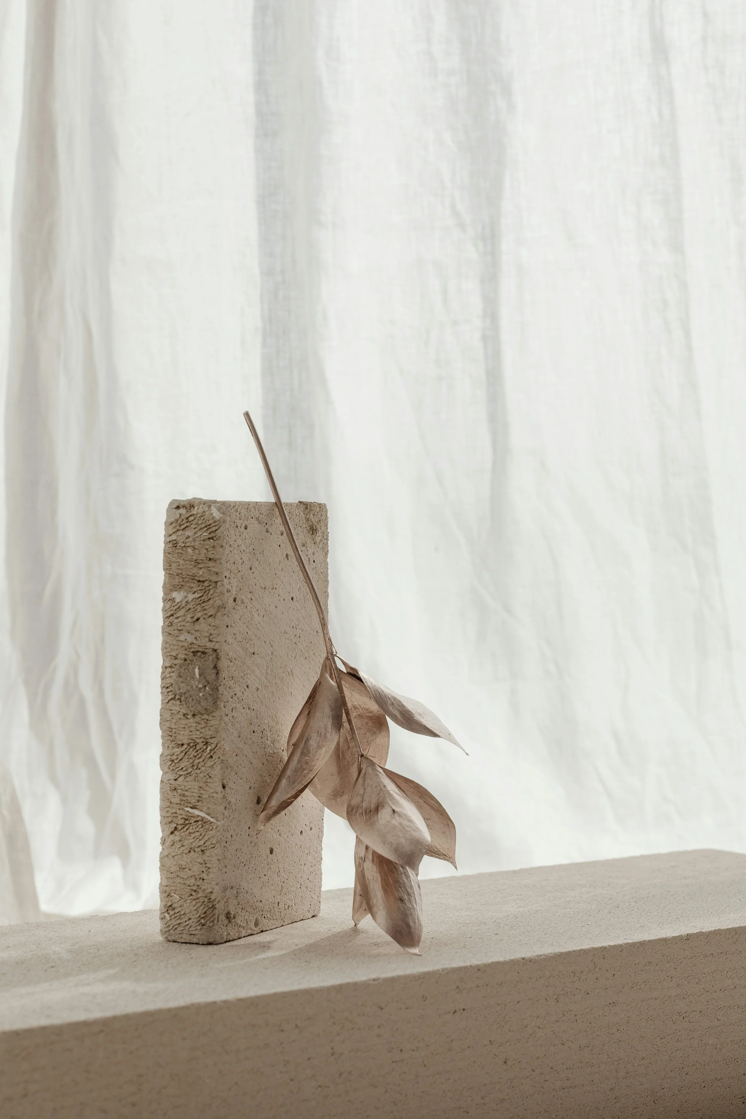 Rituel Sagesse Ancestrale 1h30