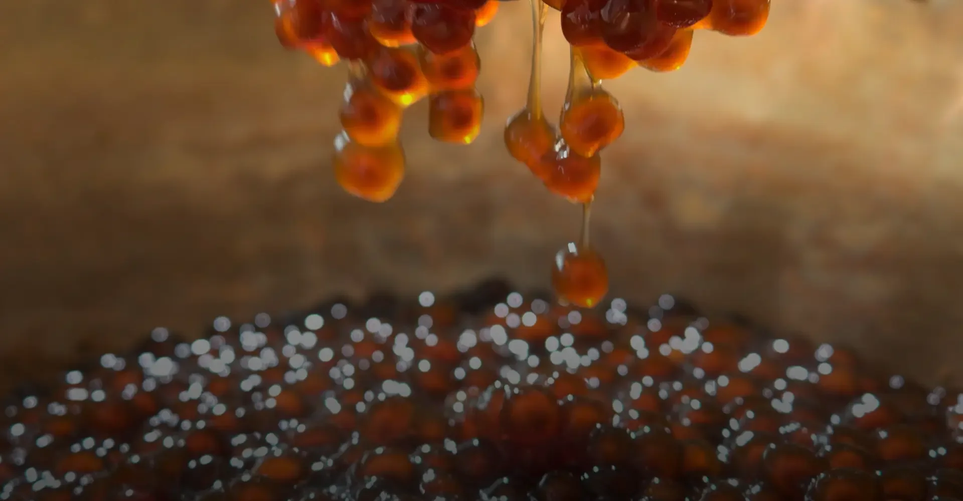 Rectangle 32 (2).webp