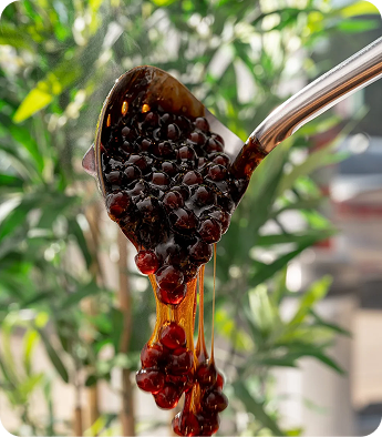 A spoonful of bubble tea tapioca pearls with honey or syrup dripping off, set against a blurred greenery background.