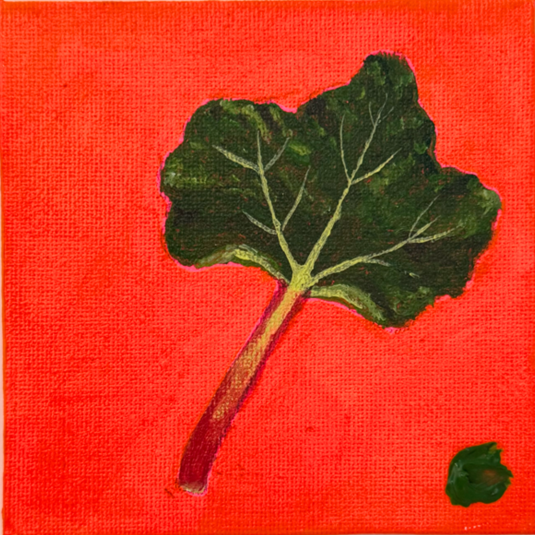 Rhubarb