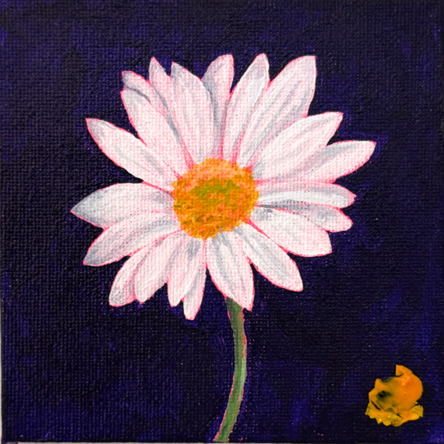 Daisy